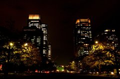 夜の銀杏並木