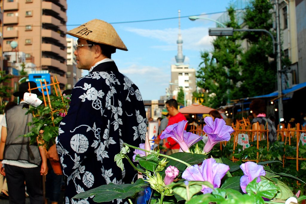 朝顔市