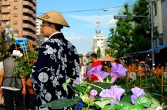 朝顔市