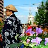 朝顔市