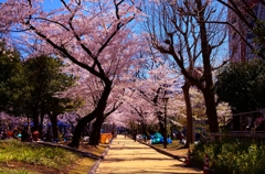 錦糸公園