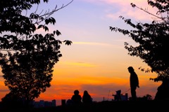 秋の夕焼け