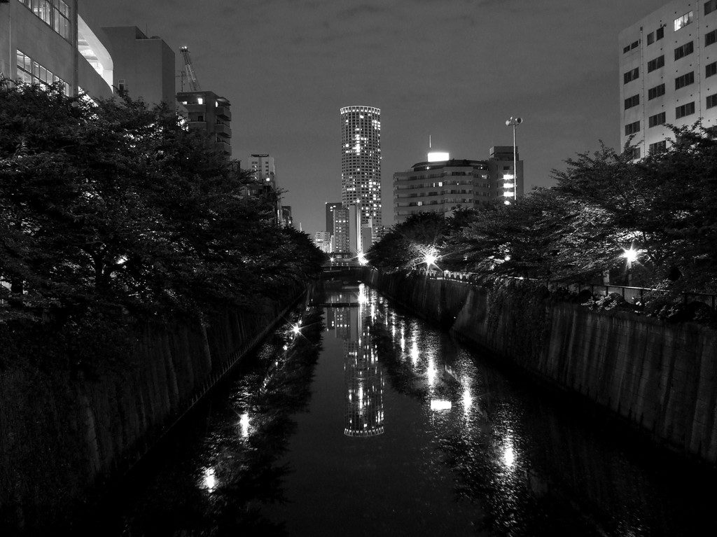 深夜の散歩