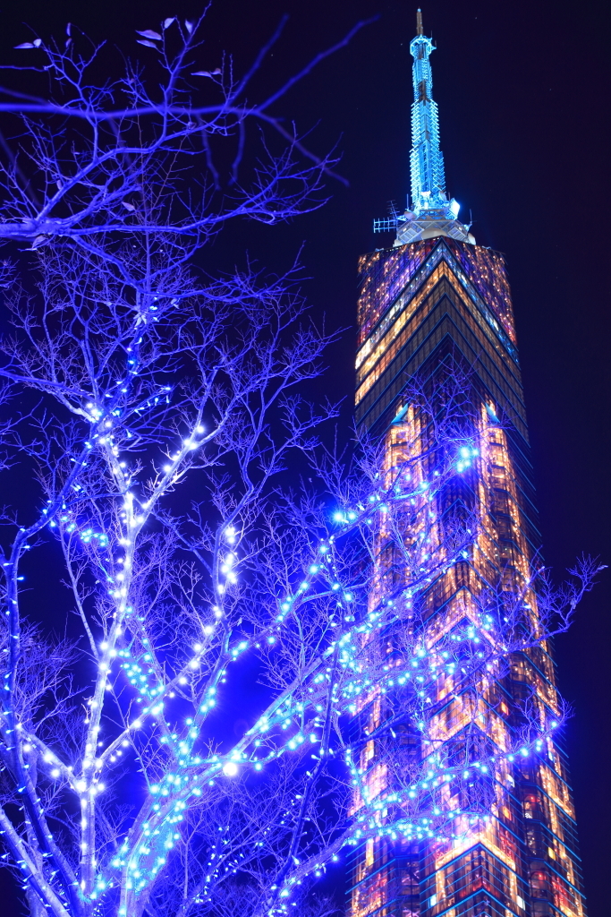 福岡タワー　クリスマスイルミネーション2011
