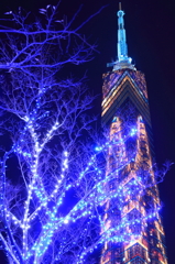 福岡タワー　クリスマスイルミネーション2011