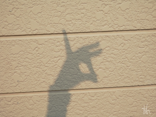 20120521-4