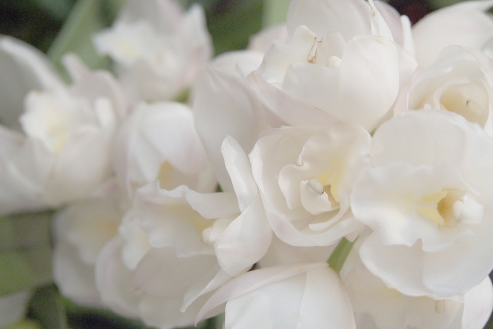 white*