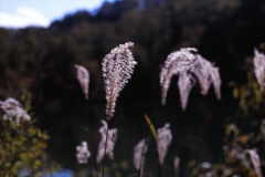111009_4_0009