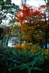 111009_2_0019
