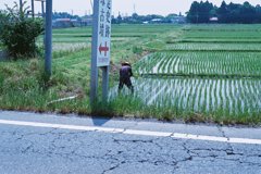 スナップ
