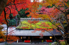 奥嵯峨の秋