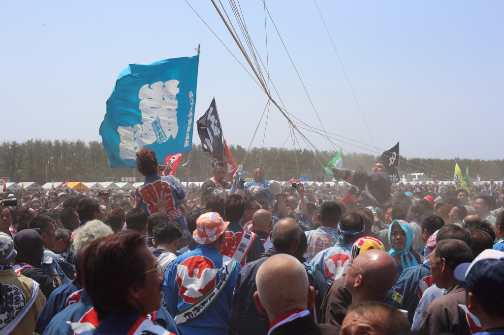 浜松祭り凧上げ合戦２