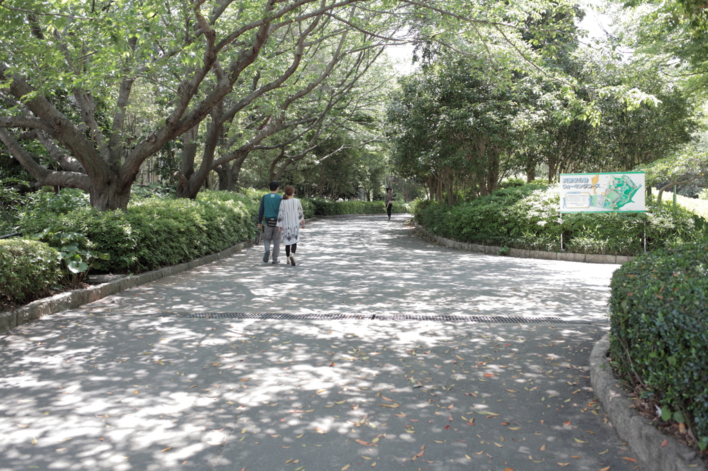 浜松城公園