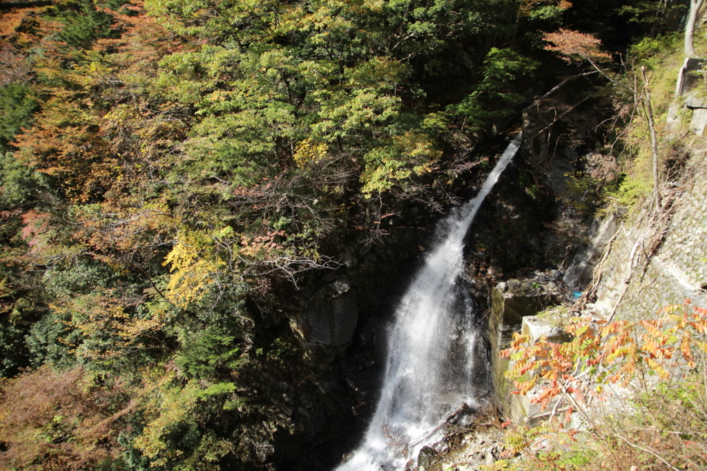 井川湖周辺の紅葉１