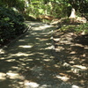 浜松城公園