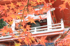 もみじと鐘楼