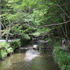 小国神社の宮川