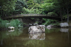 浜松城公園