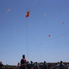 浜松祭り凧上げ合戦１
