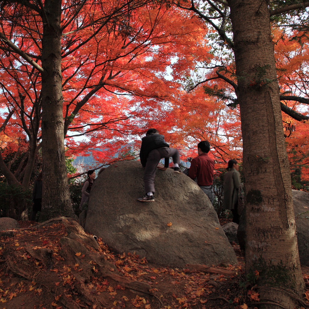 香嵐渓の紅葉４
