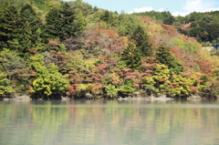 井川湖周辺の紅葉２