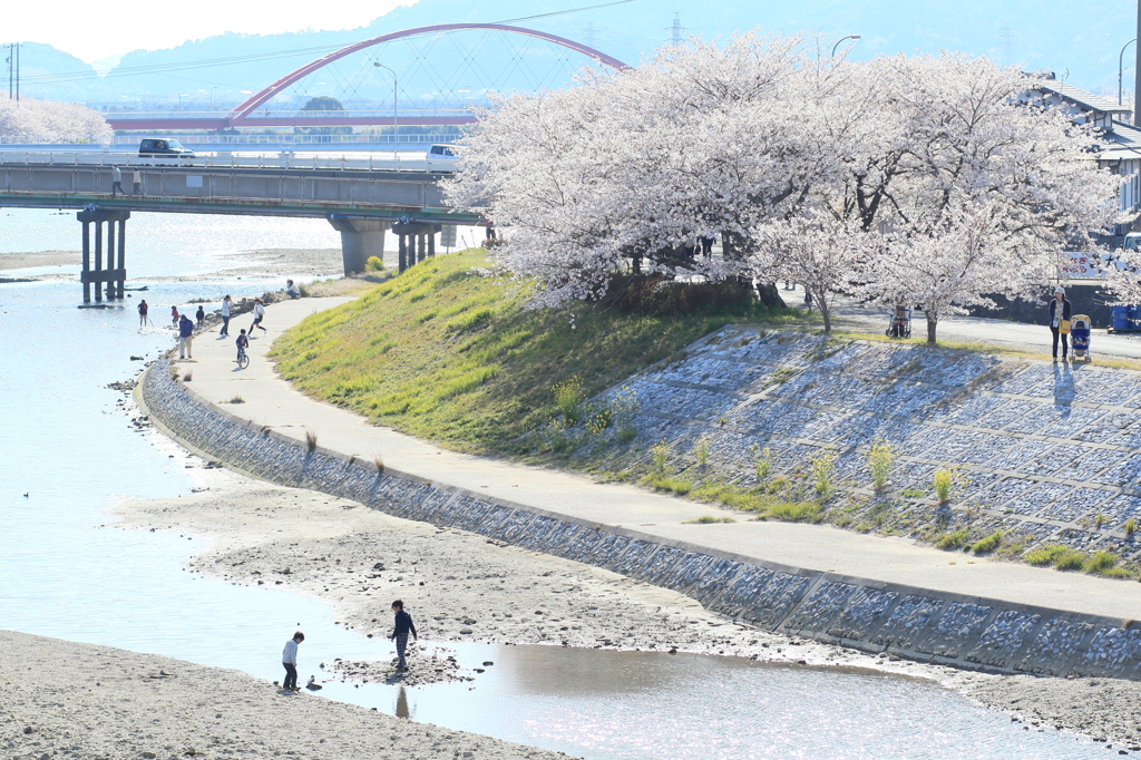 春の都田川