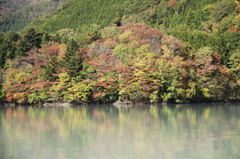 井川湖周辺の紅葉３