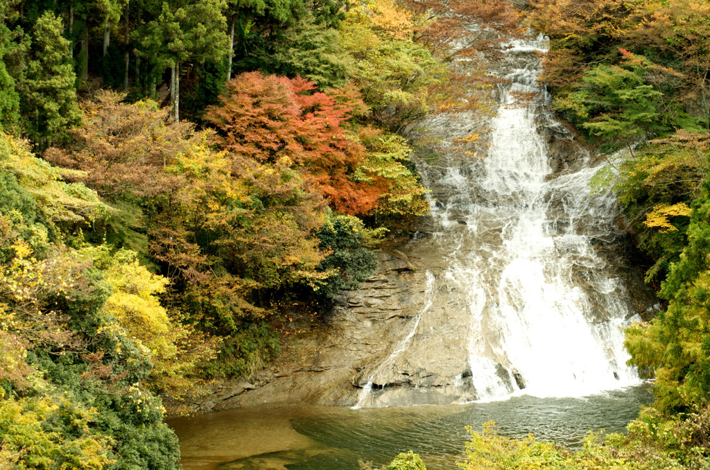 滝の紅葉はまだ早い