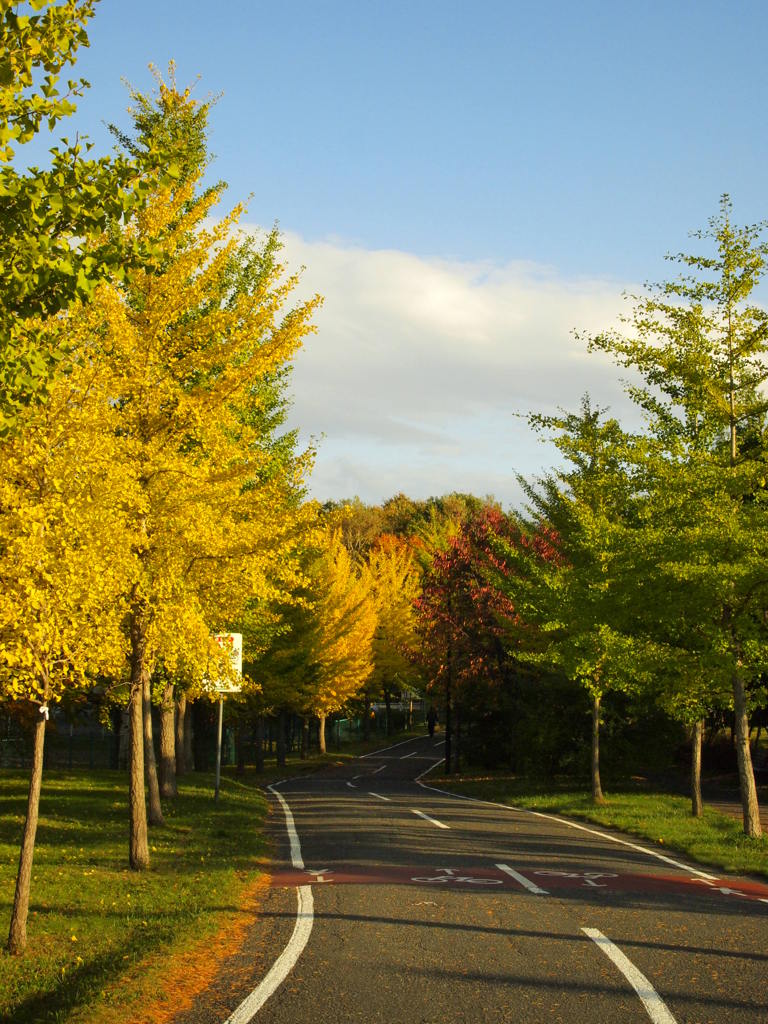 散歩道