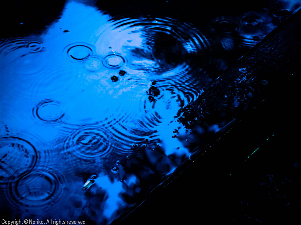 2011061847