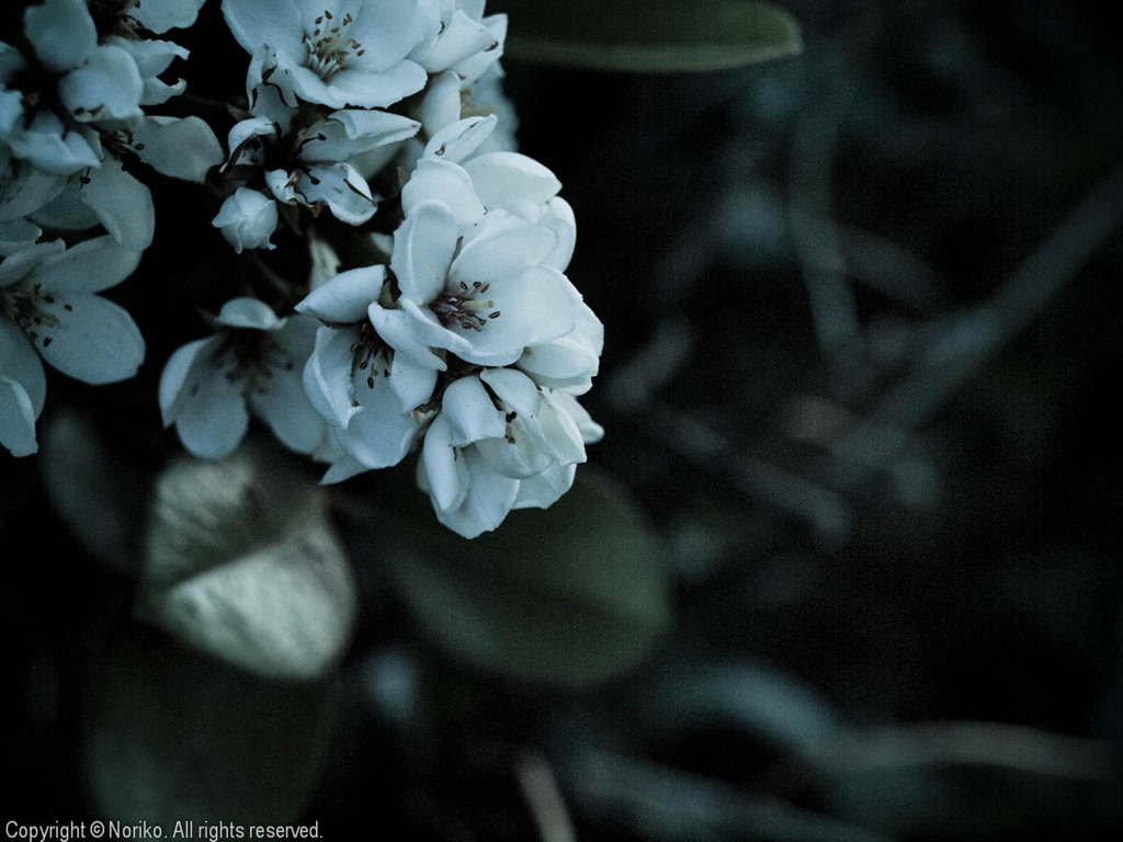 2011052141