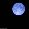 blue moon