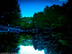 2011050808