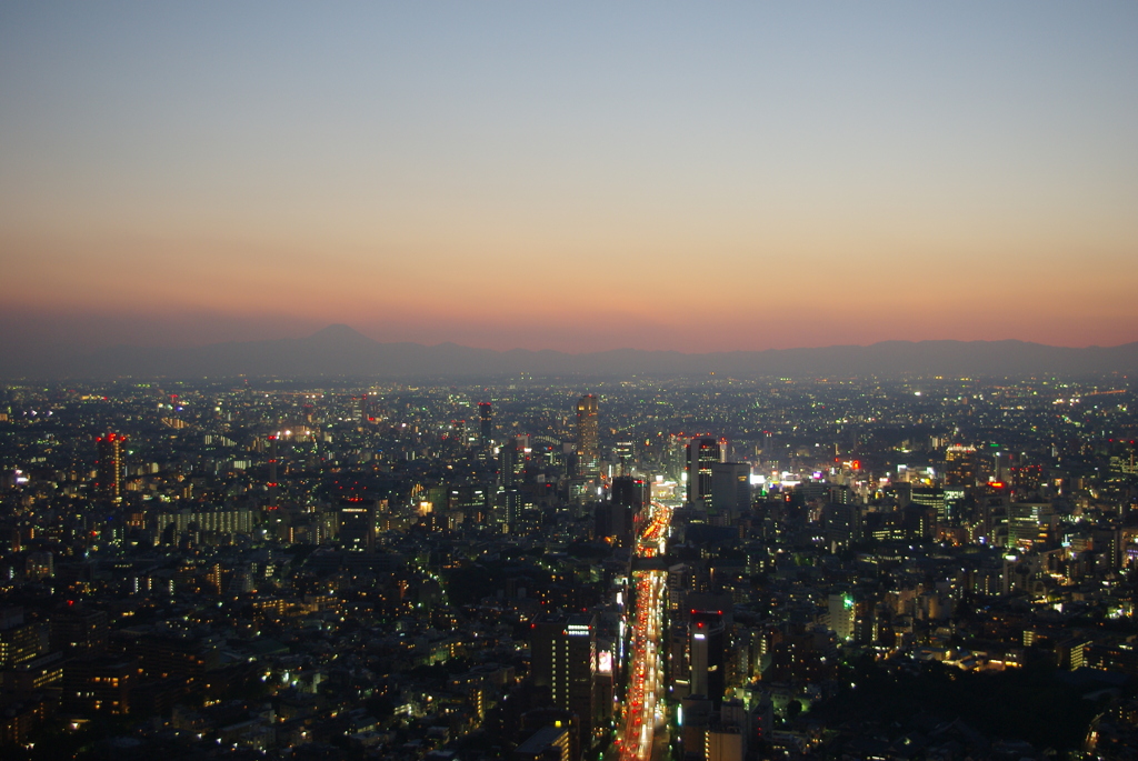 森ビルからの夕景