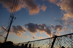 夕方