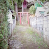 路地裏の鳥居