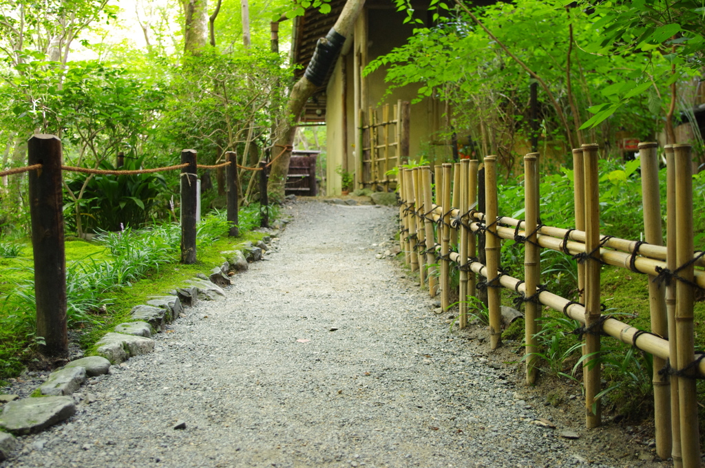 続く道