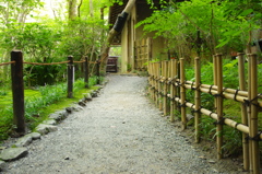 続く道