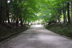 IMGP3722