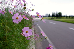秋の匂い