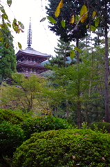 IMGP3727