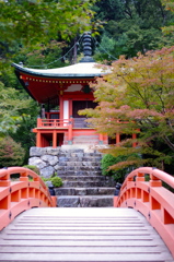 橋の向こう