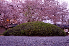 佇む翠