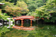 架かる橋