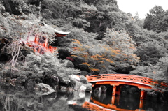 紅葉はまだまだ