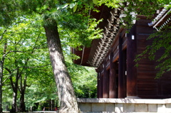 知恩院山門