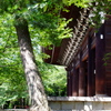 知恩院山門
