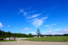 広い空