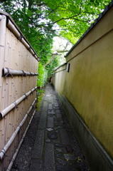 小路をゆく