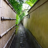小路をゆく